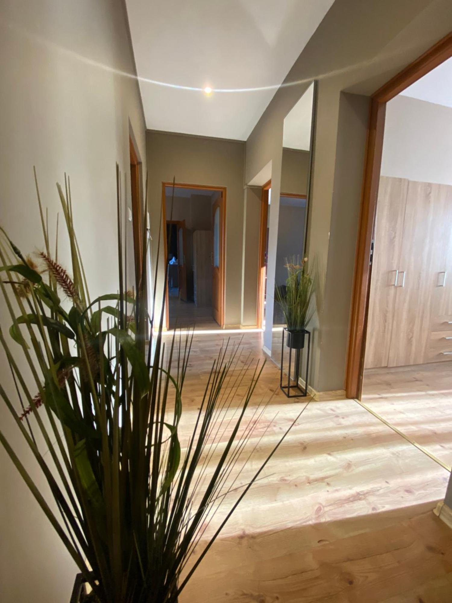 4 Pokoje - 86 M2 - 300 M Od Rynku Wrocław Exterior foto